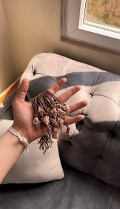 گردنبند صدف هرمزNec012 فروشگاه برایاشاپ
